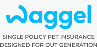 SINGLE POLICY PET INSURANCE  DESIGNED FOR OUT GENERATION