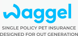 SINGLE POLICY PET INSURANCE  DESIGNED FOR OUT GENERATION