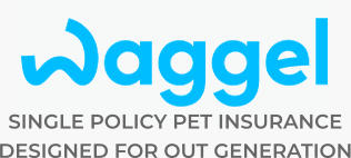 SINGLE POLICY PET INSURANCE  DESIGNED FOR OUT GENERATION